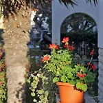 By The Sea - Diklo, - 5913