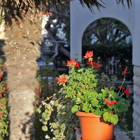 By The Sea - Diklo, - 5913